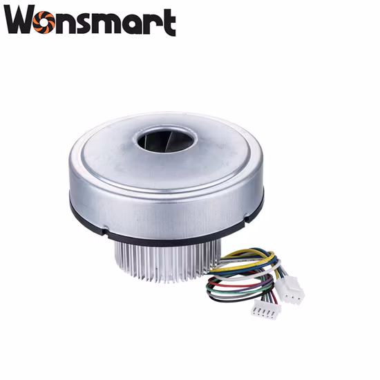 Bürstenloser DC-Luftpumpenmotor für Lüftergebläse